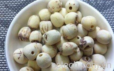 晒干的莲子怎么去皮 干莲子怎么去皮-1