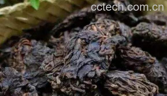 老茶头的功效与作用及危害-0