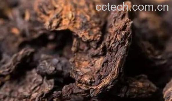 老茶头的功效与作用及危害-1