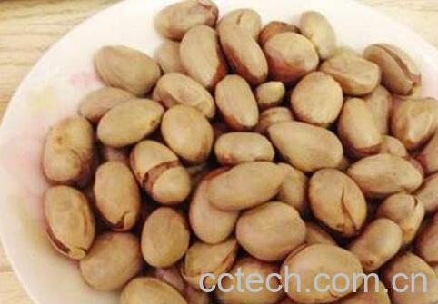 菠萝蜜核什么人不能吃 菠萝蜜吃不完怎么保存-0