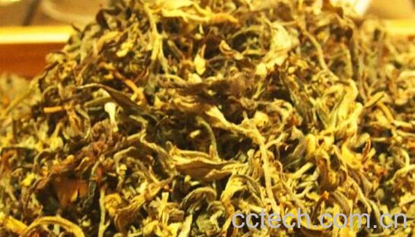 老鹰茶的功效与禁忌 哪些人不适合喝老鹰茶-0