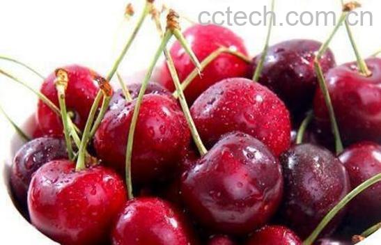 车厘子和樱桃的区别 车厘子和樱桃哪个更好-0