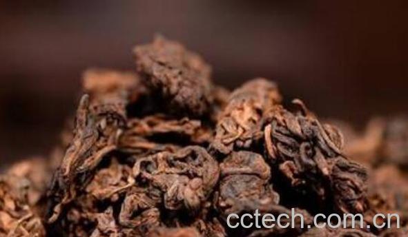 小茶头和老茶头的区别 茶头的功效与作用-1