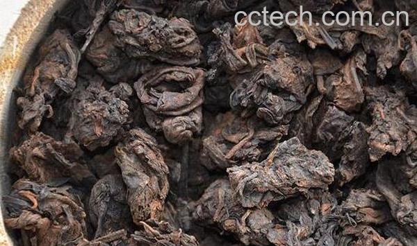 小茶头和老茶头的区别 茶头的功效与作用-0