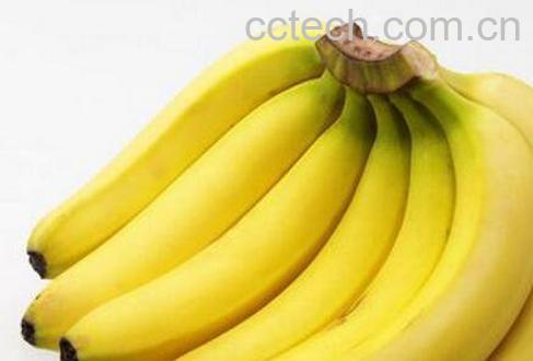 空腹吃香蕉好吗 空腹吃香蕉的危害-0