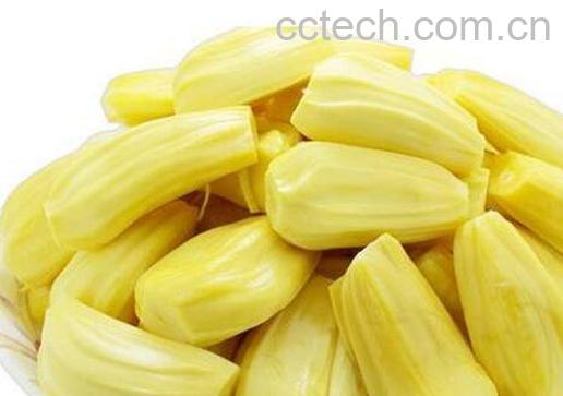 菠萝蜜的核有什么功效 吃菠萝蜜有什么禁忌-0