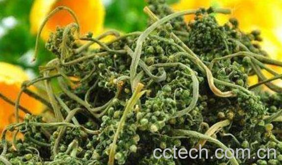 人参花茶的功效与作用 人参花茶的禁忌-1