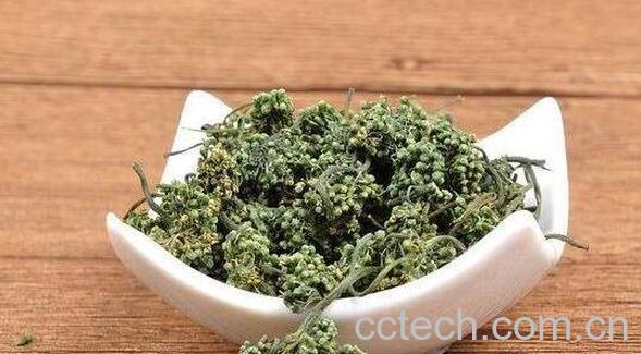 人参花茶的功效与作用 人参花茶的禁忌-0