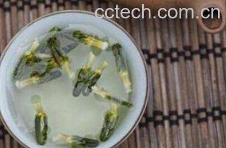 莲子心泡水喝的功效与作用-0