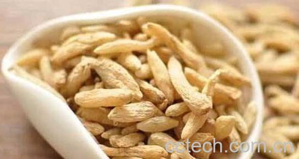 麦冬茶的功效与作用 麦冬泡水喝的五大禁忌-1