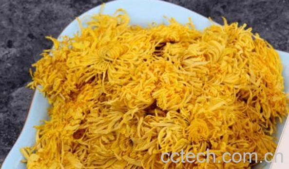 大黄菊花茶的功效与禁忌-1