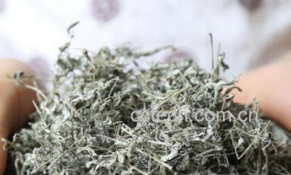 藤茶不适合什么人喝 藤茶的副作用与禁忌-1