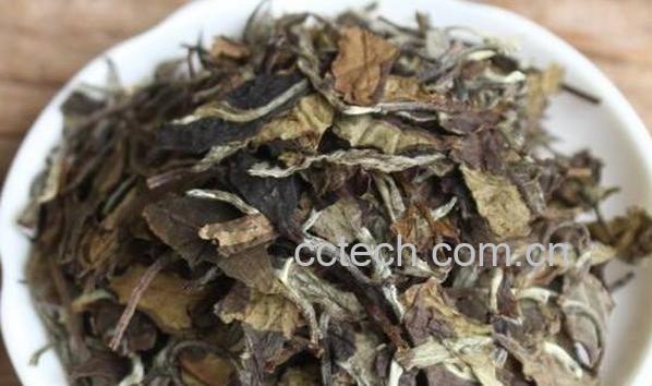 牡丹茶饼怎么冲泡-1