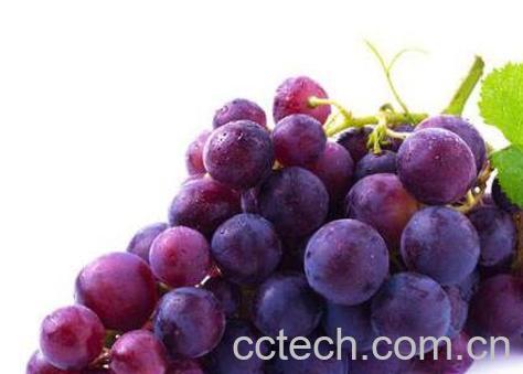 葡萄怎么去皮快 葡萄去皮的方法妙招-0