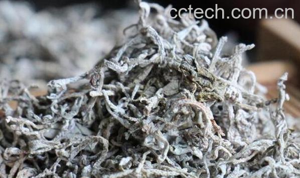 藤茶的功效与作用-1