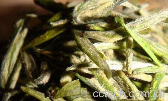 雨花茶的功效与作用有哪些-1