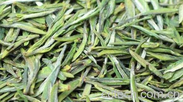 雨花茶的功效与作用有哪些-0