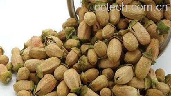 玳玳花茶的功效与作用 玳玳花茶的禁忌-0