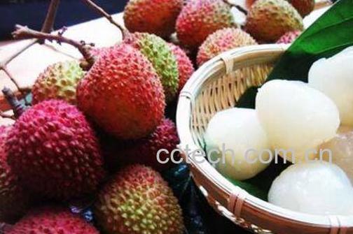 吃荔枝上火吗 荔枝怎么吃不上火-0