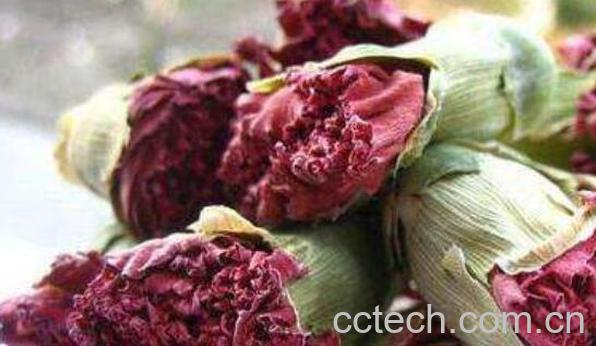 紫罗兰花茶的功效与作用 紫罗兰花茶的禁忌-1