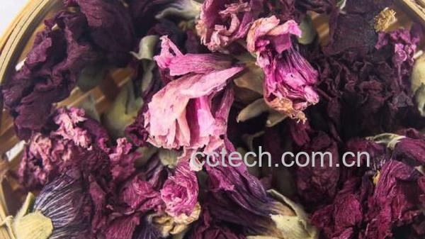 紫罗兰花茶的功效与作用 紫罗兰花茶的禁忌-0