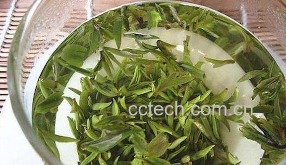 雨花茶是什么茶 雨花茶怎么泡-0