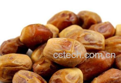 伊拉克椰枣的功效与作用-0