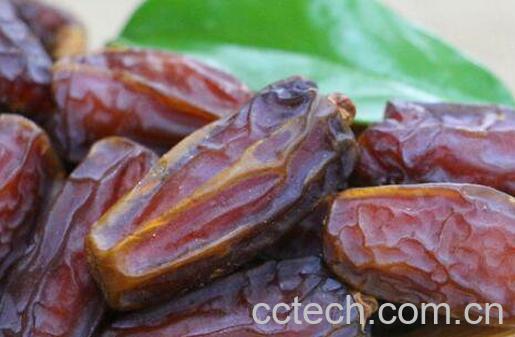 伊拉克椰枣的功效与作用-1