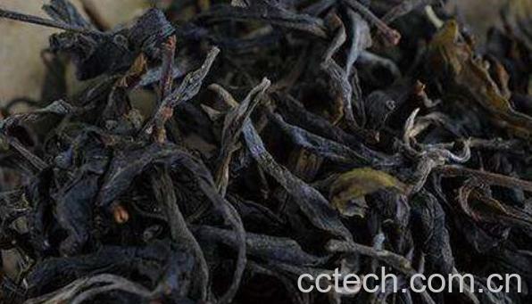 野生乔木茶的功效与作用-1