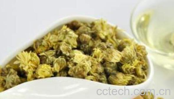 贡菊花和胎菊花的区别-0