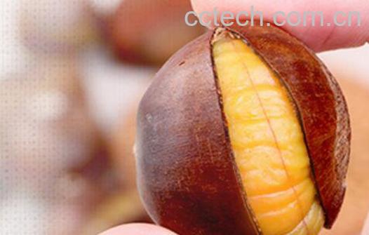 煮熟的板栗怎么去皮 煮熟的板栗怎么去壳-0