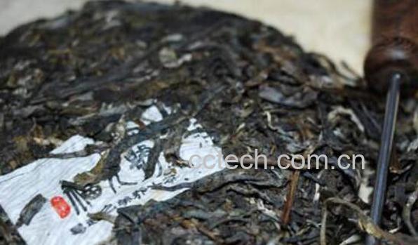 古树茶与乔木茶的区别 喝古树茶的好处-1