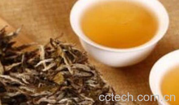 白牡丹茶怎么泡 白牡丹茶的正确泡法-0