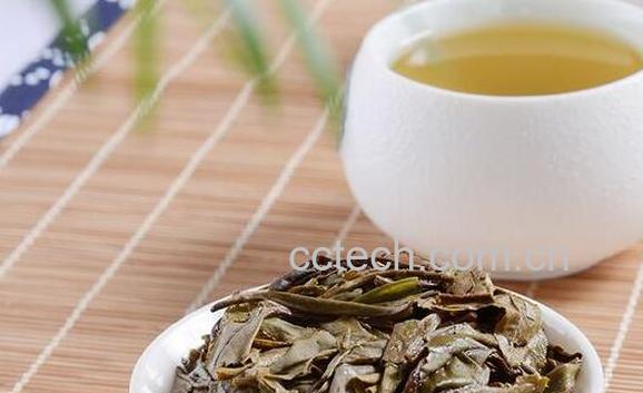 白牡丹茶怎么泡 白牡丹茶的正确泡法-1