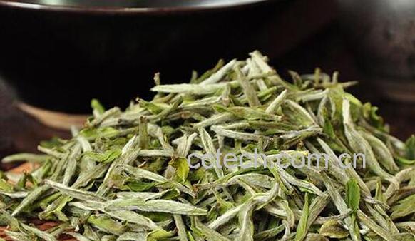 白牡丹茶的功效与作用 白牡丹茶的禁忌-0