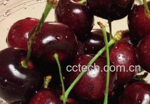 车厘子和樱桃的区别有哪些-0
