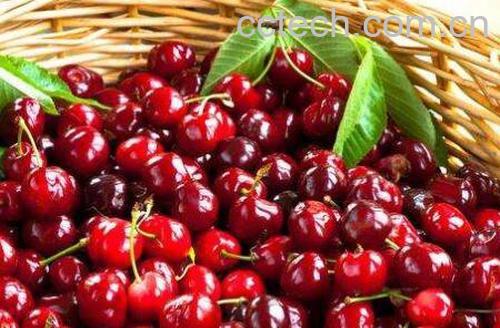 车厘子和樱桃的区别有哪些-1