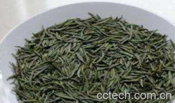 苔茶是什么茶 苔茶的功效与作用-1