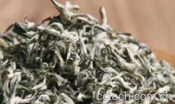 青城雪芽属于什么茶 青城雪芽的功效与作用-0