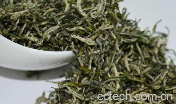 青城雪芽属于什么茶 青城雪芽的功效与作用-1