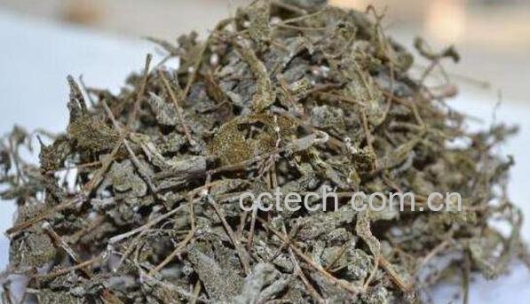 茅岩茶的功效与作用 茅岩茶的副作用-0