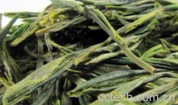 安吉白片是什么茶 安吉白片的功效与作用-0