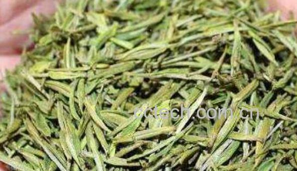 安吉白片是什么茶 安吉白片的功效与作用-1