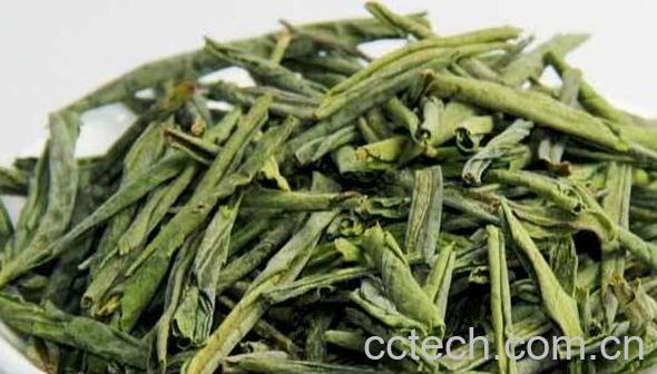 六安瓜片适合什么人喝 六安瓜片的功效与禁忌-1