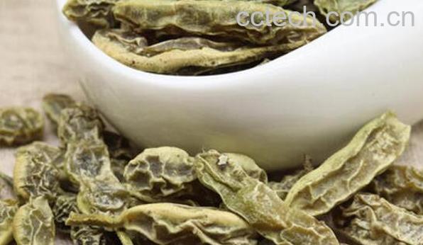 槐角茶的功效与作用 槐角茶的禁忌-0