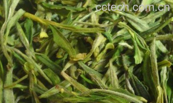 霍山黄芽如何保存 霍山黄芽保存方法-0