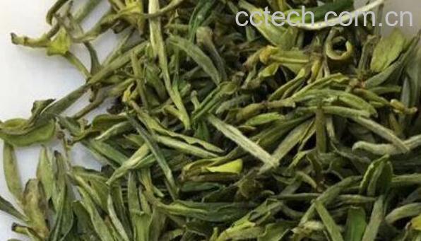 霍山黄芽如何保存 霍山黄芽保存方法-1