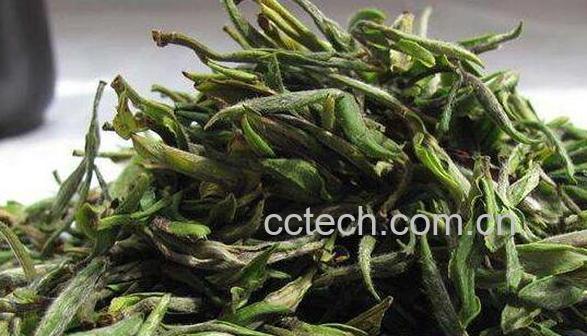 霍山黄芽属于什么茶 霍山黄芽的功效与作用-1