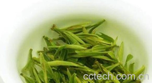 霍山黄芽的泡法 霍山黄芽冲泡注意事项-1