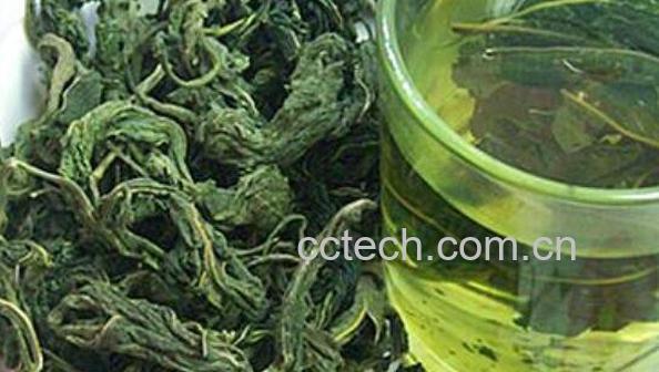 桑叶茶如何做 桑叶茶的制作方法-0